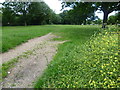 Open space to the south of Twickenham Road, Richmond