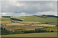 Newly cut fields, Langlee