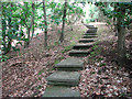 Steps to Holton Mill