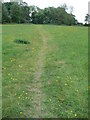 Footpath across the meadow