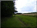 TM3872 : Footpath to Sibton Green by Geographer