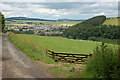 Sheep pasture above Earlston