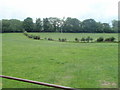 Field, Llanvihangel Pontymoel