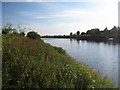 View across the Trent towards the south end of Fiskerton