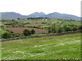 Flowery meadow south east of Drumena Road