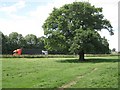 SP2067 : An oak in a field by the M40 by Robin Stott