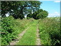 Mucky Lane (track) heading north