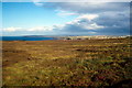 Dunnet Head, Brough - 1987