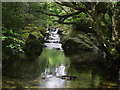 Tollymore Forest Park