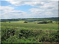 Wheat field off Common Road