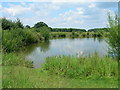 Fishing lake, Rising Sun Farm