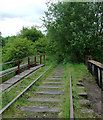 Disused railway near Milton, Stoke-on-Trent