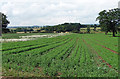 Farmland near Beckbury