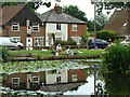 Fishing the village pond