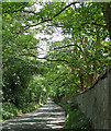 Neachley Lane near Tong (1)