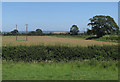 Farmland view from Barugh Lane