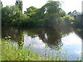 River Ouse near Clifton Bridge