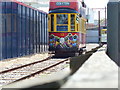 Tram Number 12 leaving Seaton