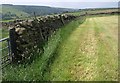 Wall and field above Low Wood