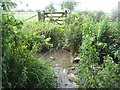 Former footpath between Tibberton and Taynton