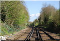 The Hastings Line looking north