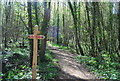 Footpath junction, Great Wood