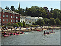 Dragon boat racing on the Exe