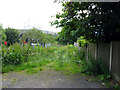 Bacup:  Overgrown footpath from Bankside Lane