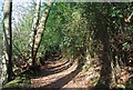 Footpath to West Heath School