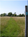 TM4167 : Footpath to the B1122 Yorford Road by Geographer