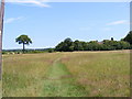 Footpath to the Causeway