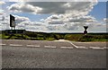 North Cornwall : Country Road off the A30