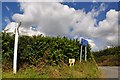 North Cornwall : Whitecross Signpost