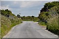 North Cornwall : Country Road