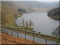 NY4711 : Upper Haweswater by David Purchase