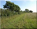 Line of bridleway to Gabber Lane