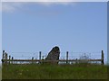NR3964 : Standing Stone, Knocklearoch, Islay by Becky Williamson
