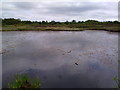 NZ1651 : Pond on Greencroft Heath by Robert Graham