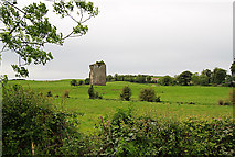 S3686 : Castles of Leinster: Gortnaclea, Laois (1) by Mike Searle