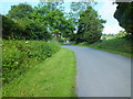 The Road to Beacon, Luppitt, Devon