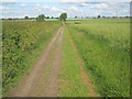 SK4865 : Farm track to Rowthorne by Trevor Rickard
