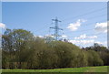 Pylon towering over the tree tops