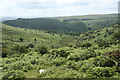 Widecombe in the Moor: below Yartor Down