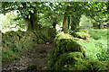 SX6673 : Dartmoor Forest: path to Dartmeet by Martin Bodman