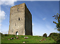 R8491 : Castles of Munster: Tullaun, Tipperary (1) by Mike Searle
