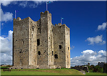 N8056 : Castles of Leinster: Trim, Meath (3) by Mike Searle