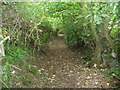 Sunken path near Llanblethian