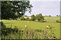 Farmland near Martingirth