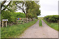 Farm road to Bogfoot