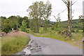 Road through Barnsoul Wood